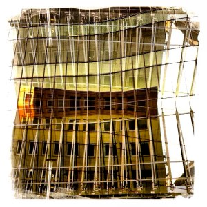 IMG_1328