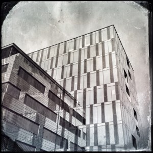 IMG_6233