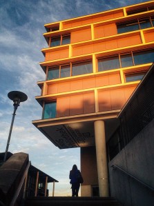IMG_2028_bearbeitet-1
